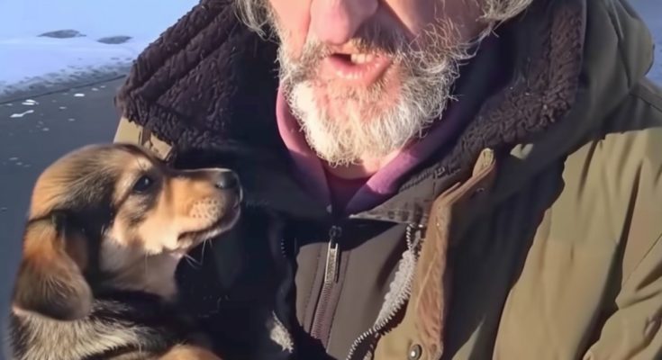 Homeless Man Asked Me to Take His Dog – A Month Later, I Received a Mysterious Letter