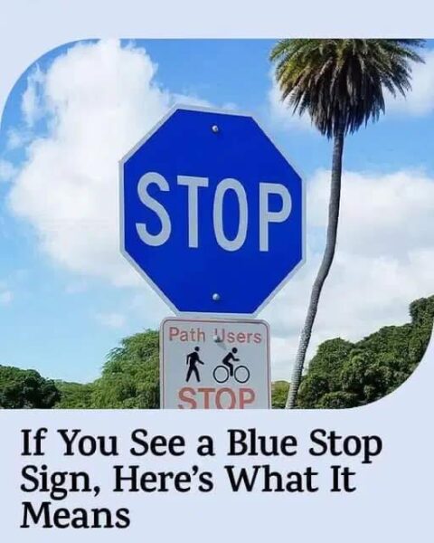 If You See a Blue Stop Sign, Here’s What It Means