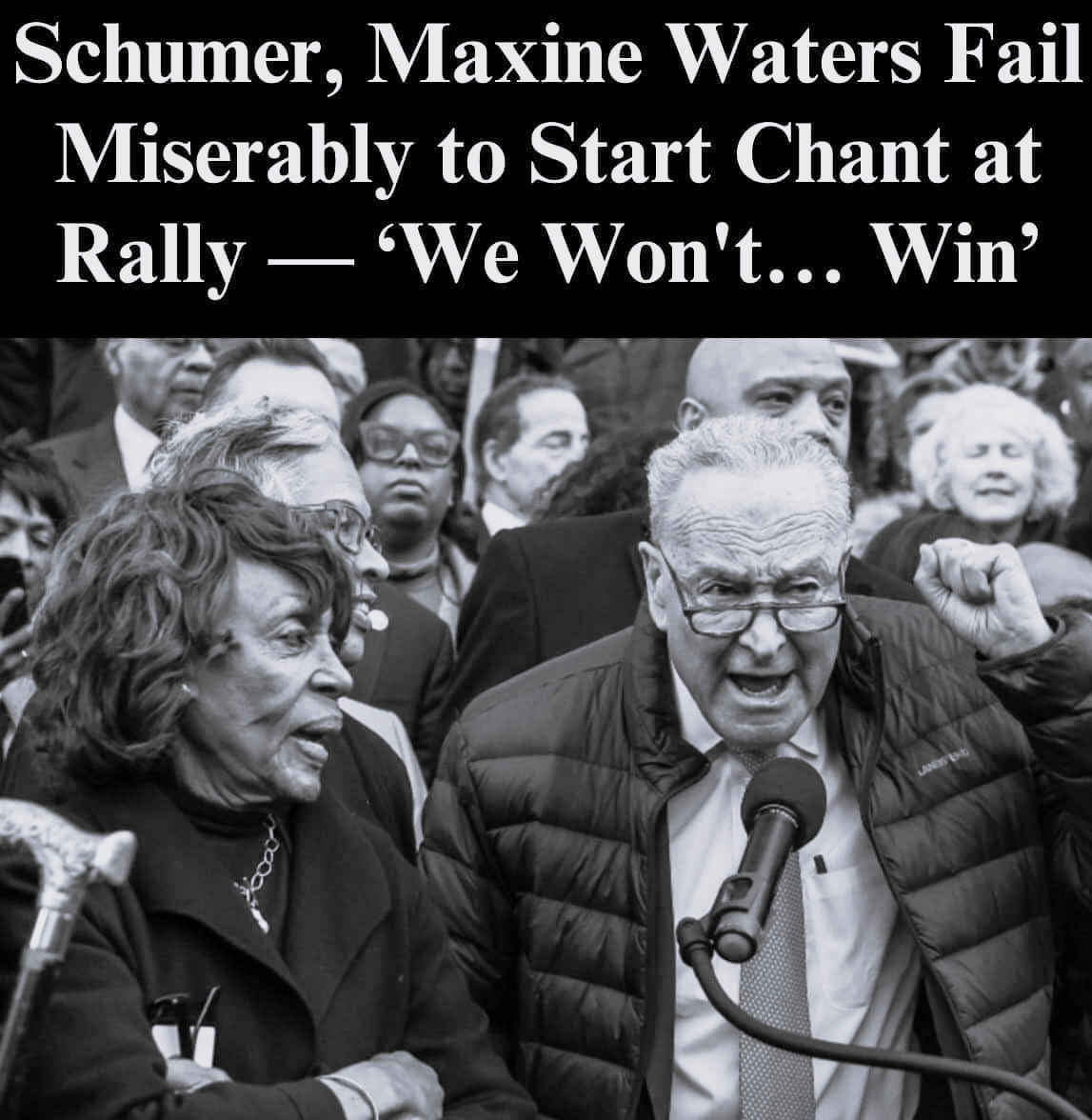 The anti-Musk chant at the “rally” is not initiated by Schumer or Waters.